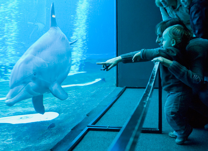 Acquario di Genova