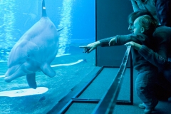 Acquario di Genova