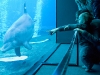 Acquario di Genova