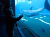 Acquario di Genova