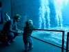 Acquario di Genova