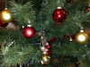 20131207_albero4