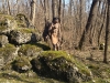 20140223_preistoria_s_31