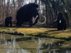 20140223_preistoria_s_34