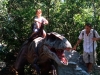 140809-parco-dinosauri-croazia-06