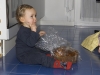Panettone
