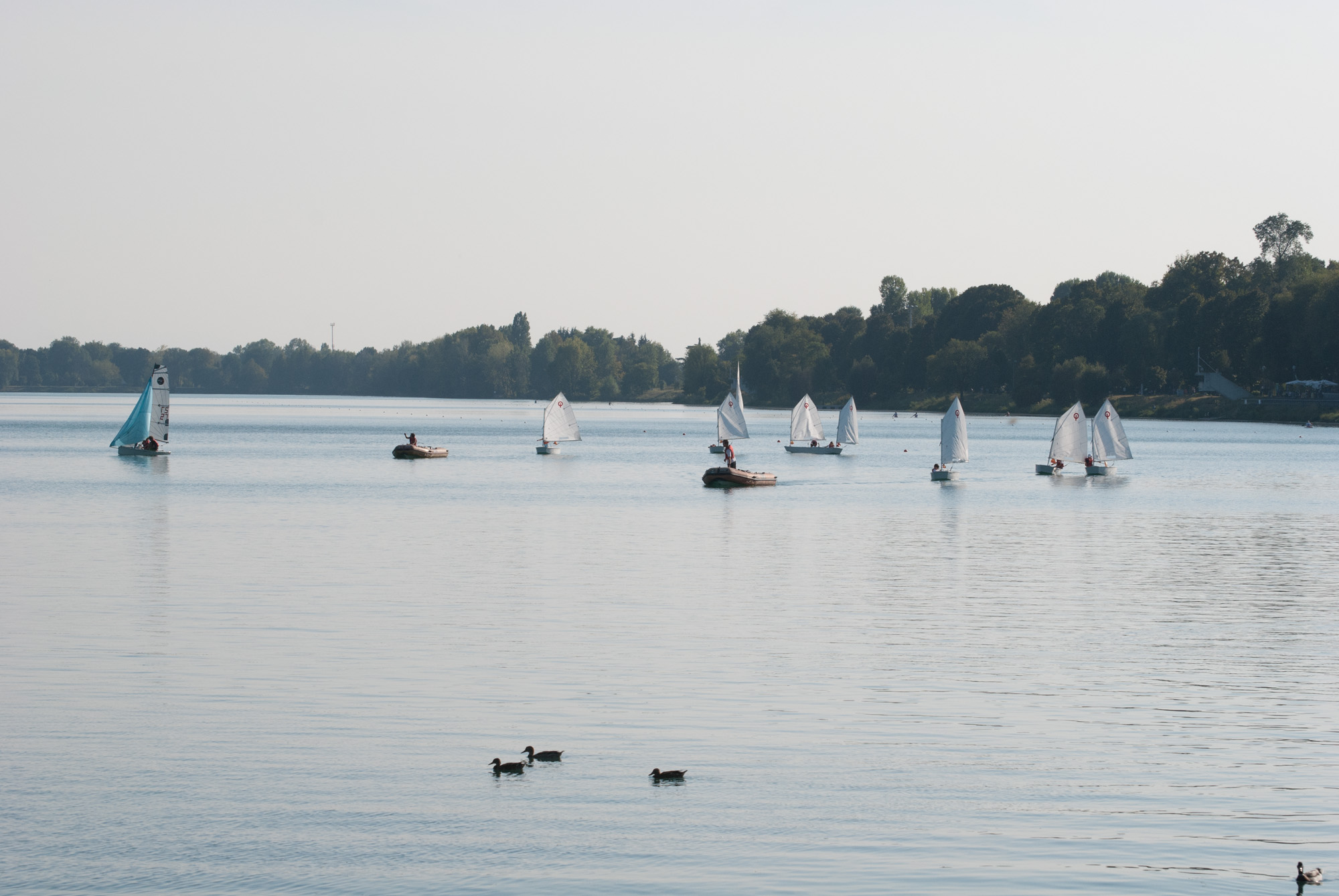 optimist 2016 milano
