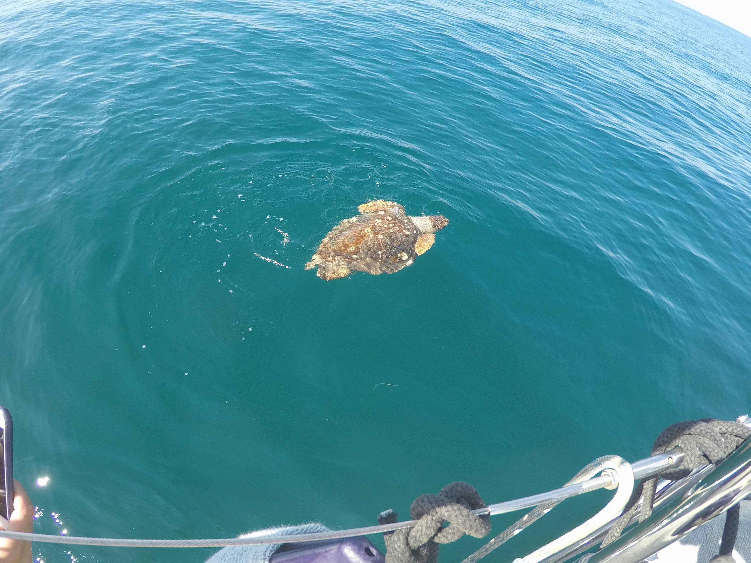DCIM100GOPROGOPR6785.