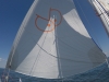 DCIM100GOPROGOPR6779.