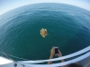 DCIM100GOPROGOPR6782.