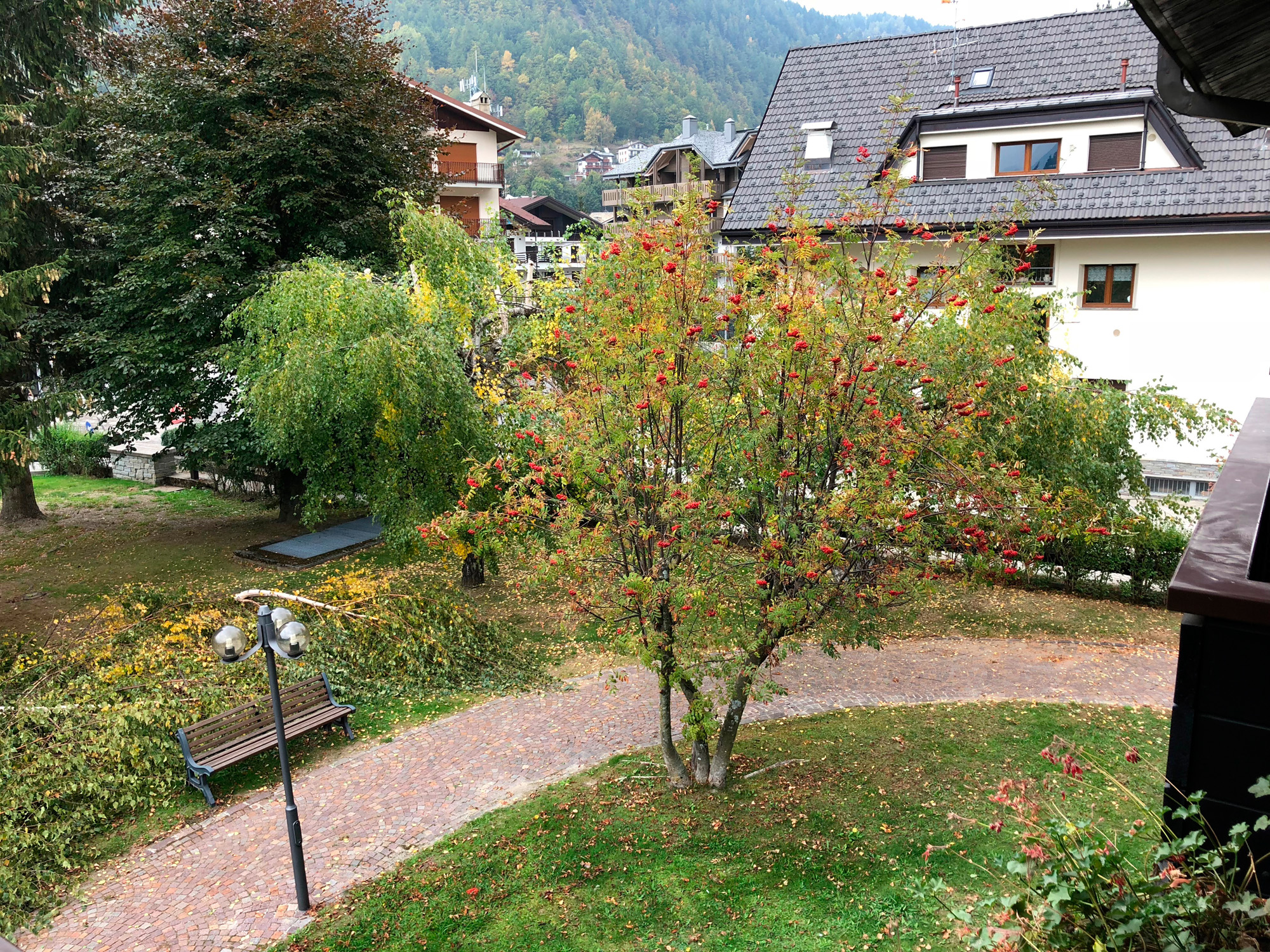 20181006-aprica-dafne16-giardino1