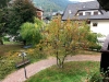 20181006-aprica-dafne16-giardino1