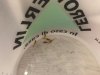 20181020-acq-otocinclus-acllimata