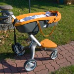 cassonetto