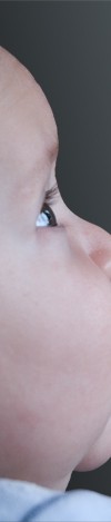 pelato