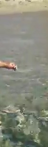 video sardegna